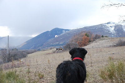 Du Rêve De Noé - WE dans les Hautes Alpes avec les boubous!
