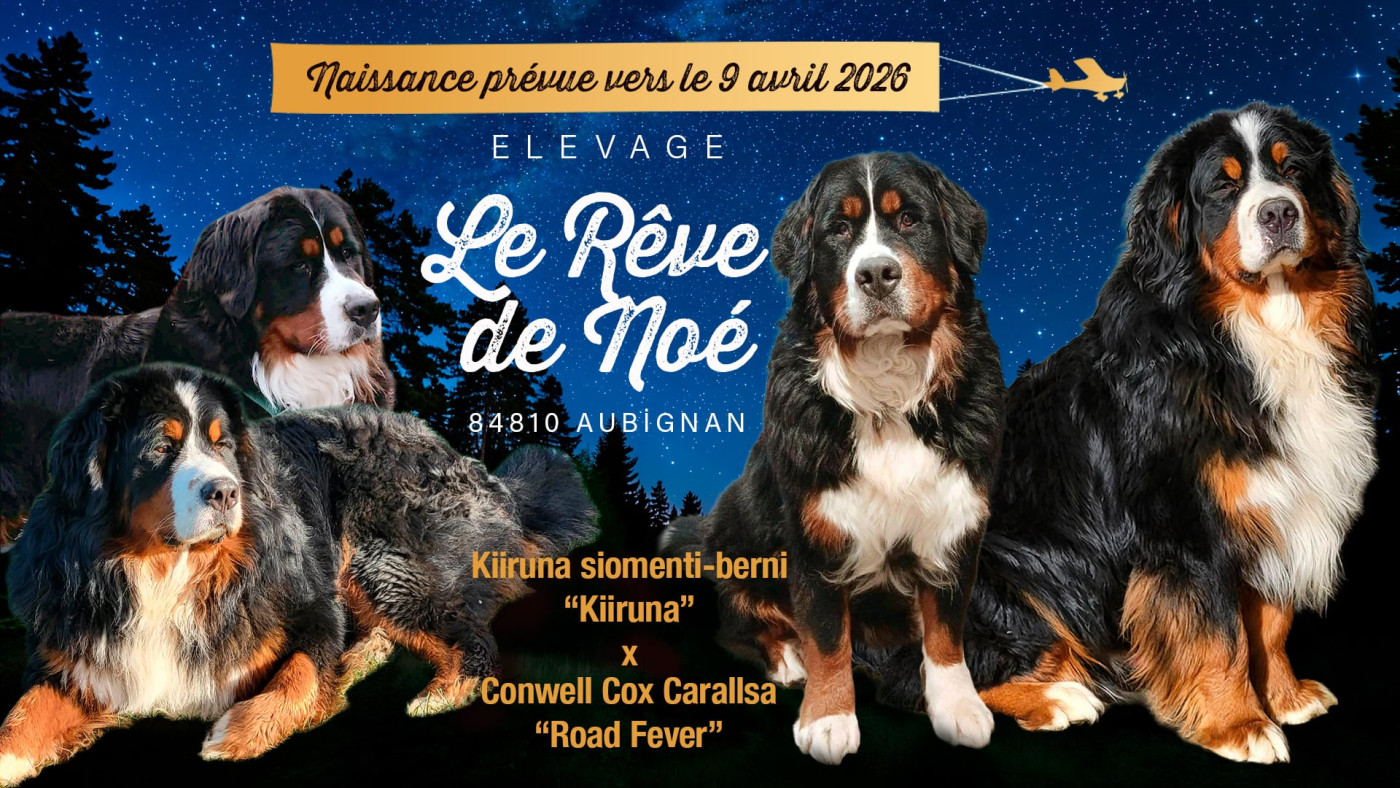 Bientôt des bébés 😊